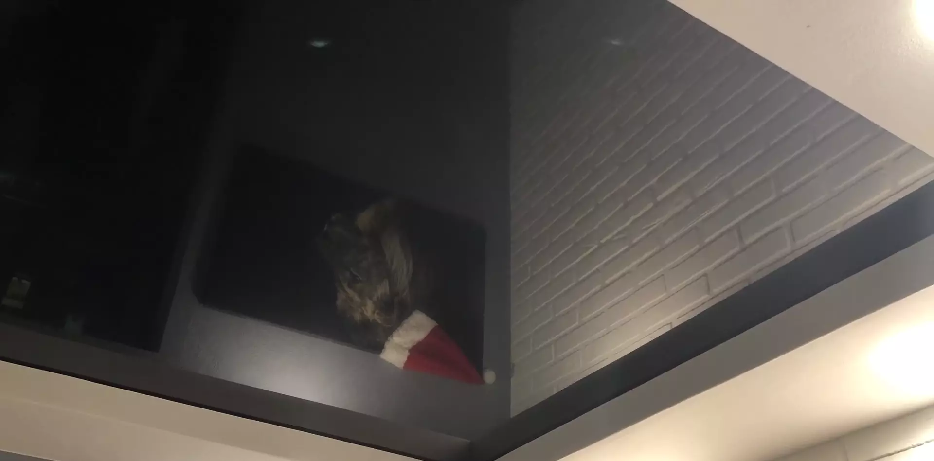 Благовещенск, Лазо, 55, фото 3